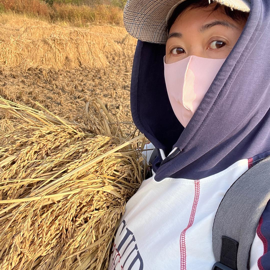 米粒儿香
