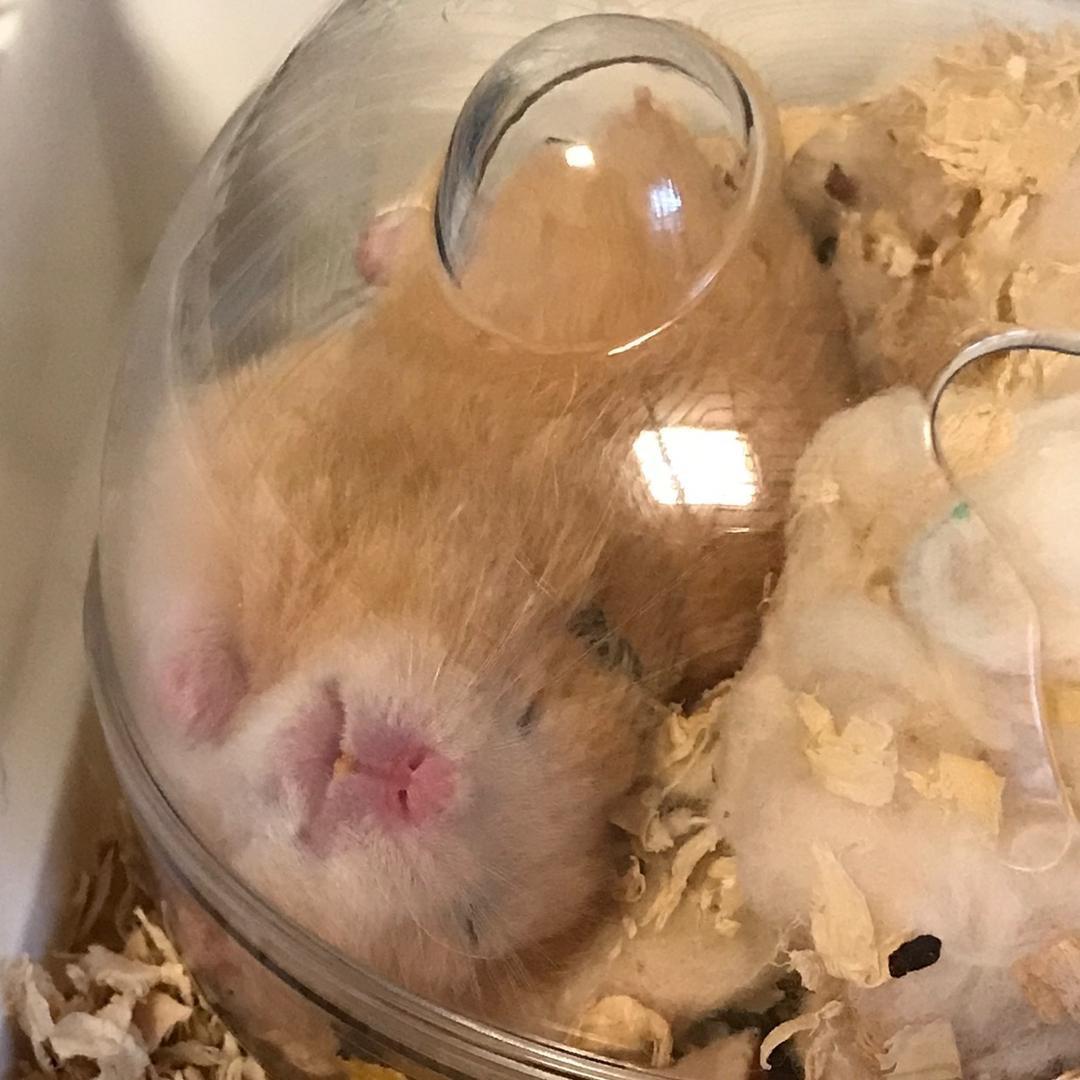 ✌🏻️叶✌🏻