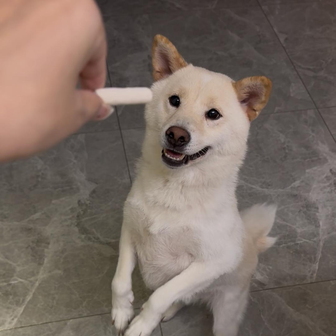 孙鑫