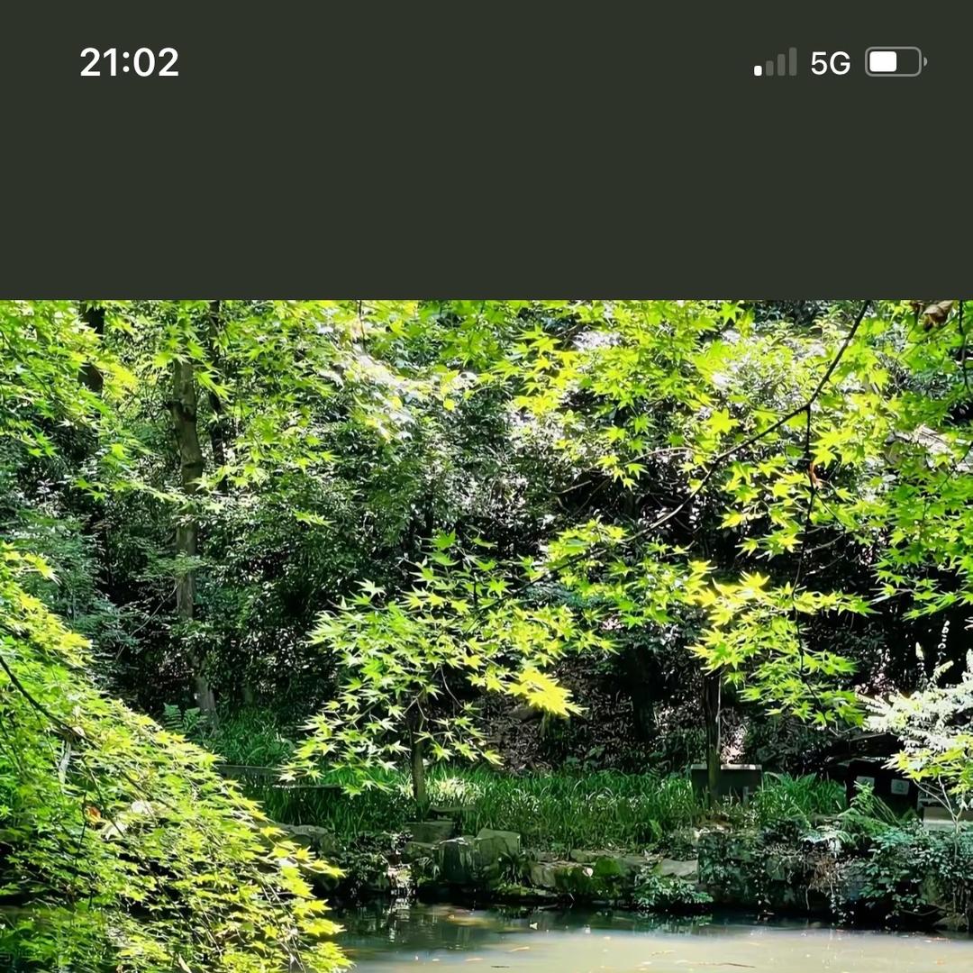 维杨贸易优品