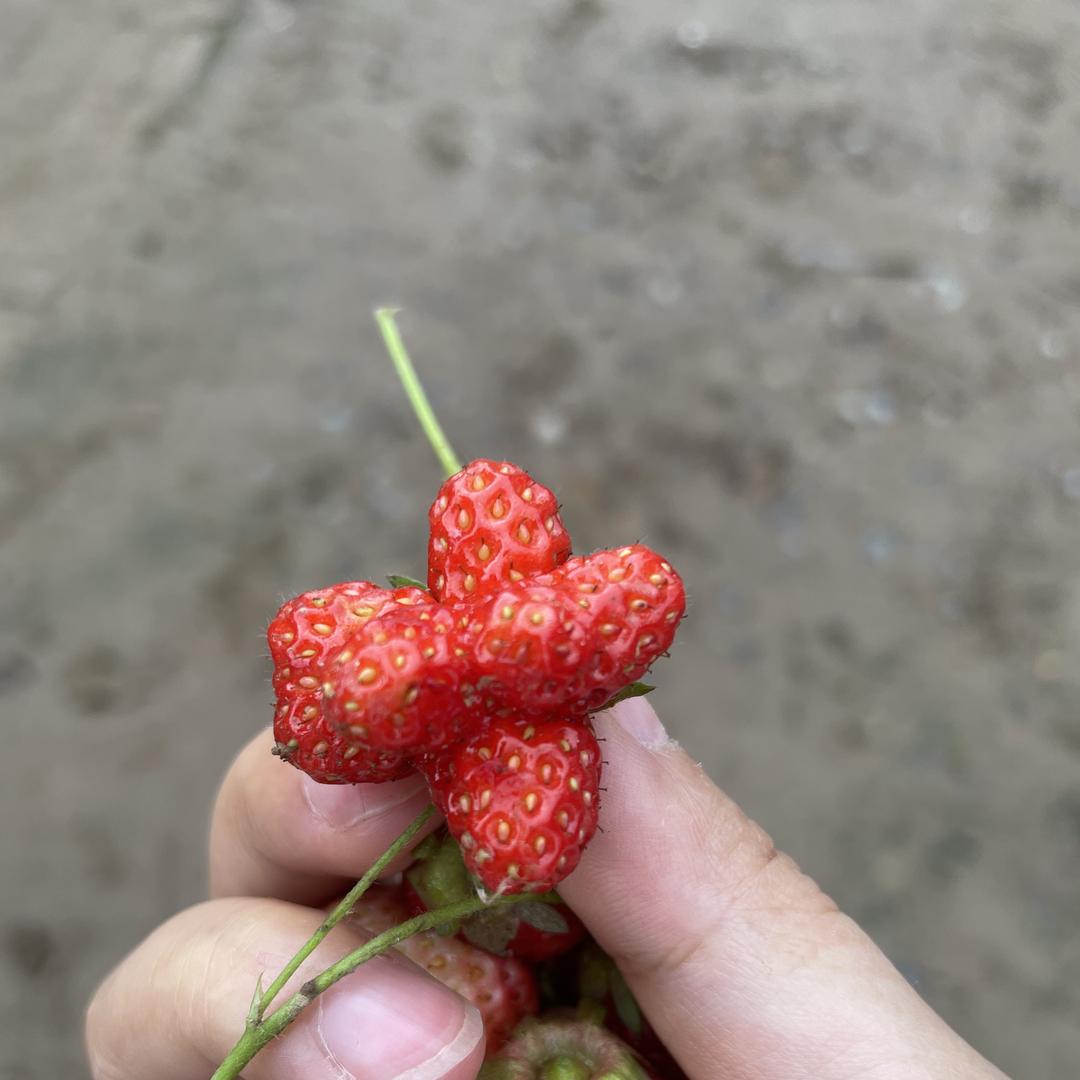 富到不认识