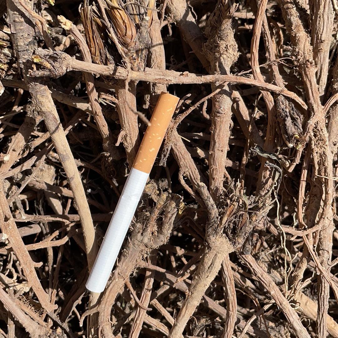 王琦（万世）中药材