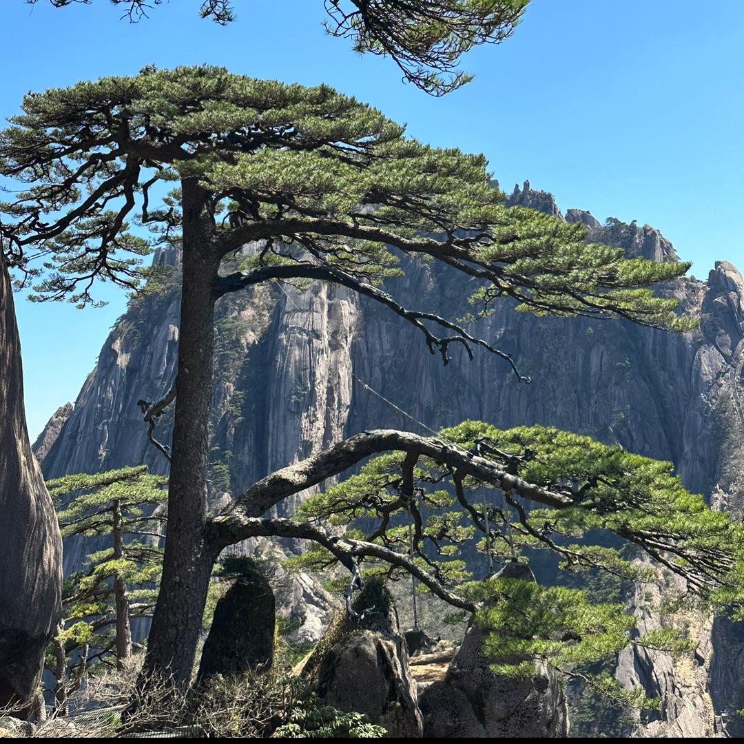 一笑泯恩仇