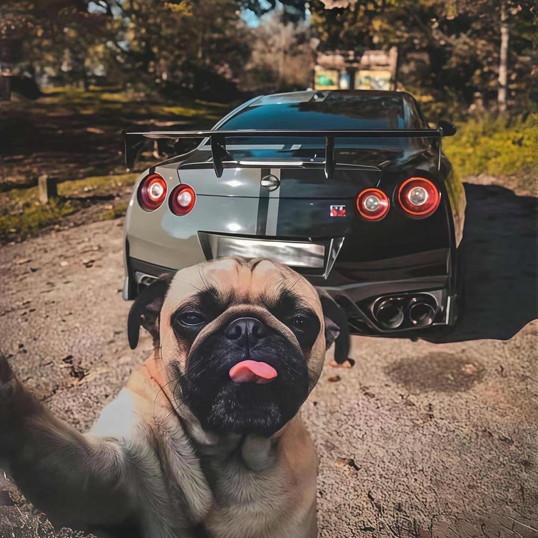 诗某人（三角洲行动）