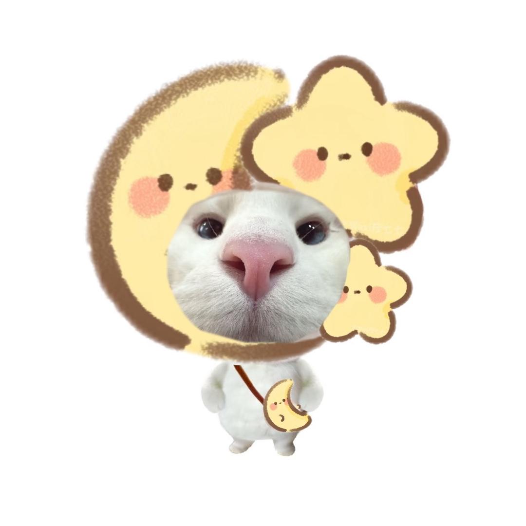 月墨🌙