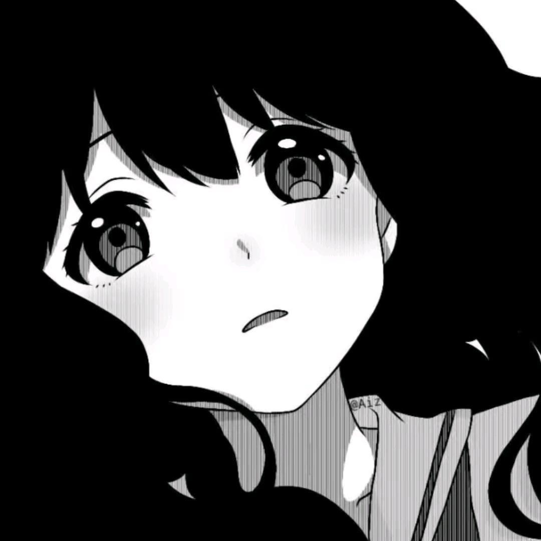 七七喵宝