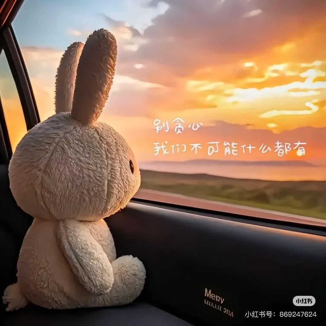 发财被爱好运常在