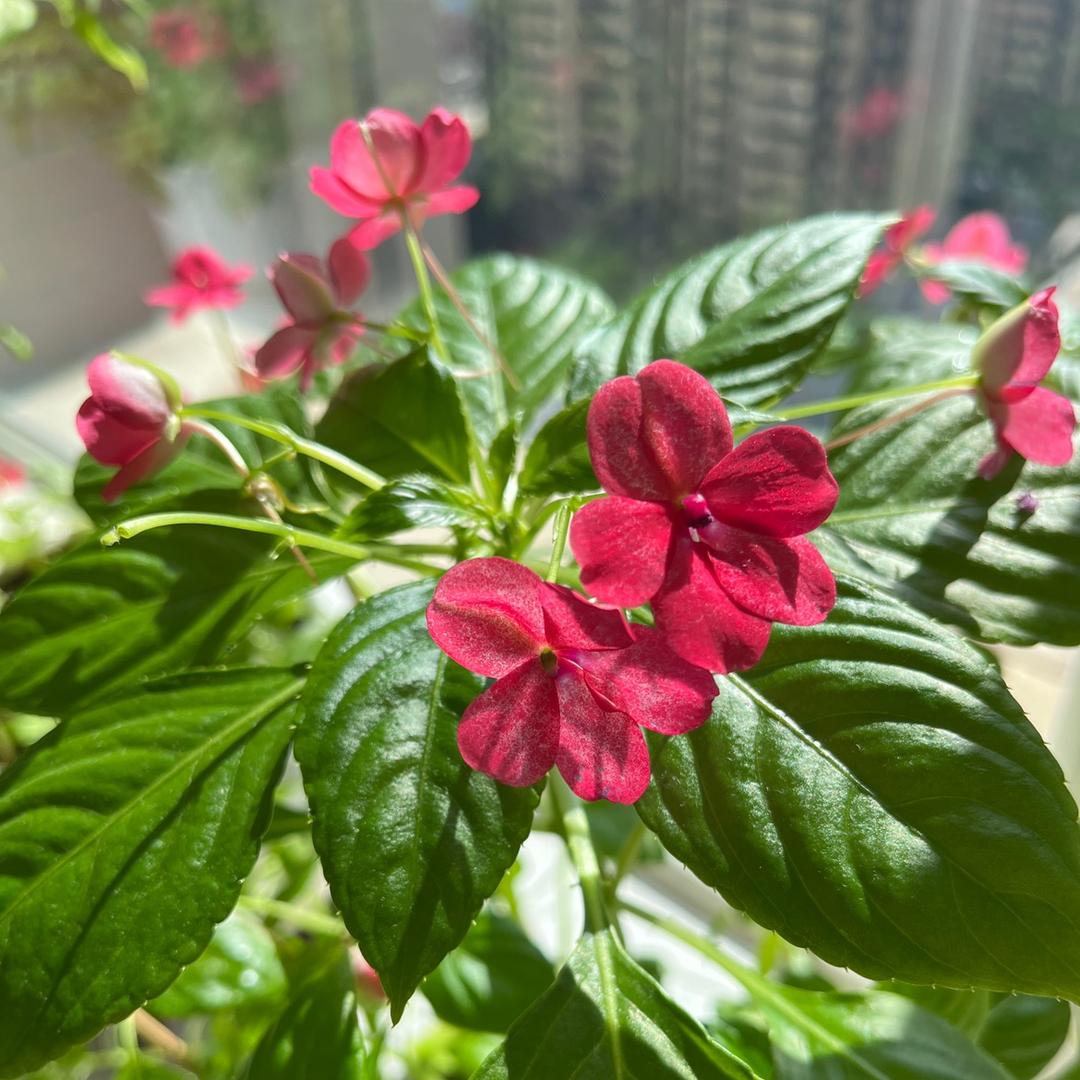小程(努力的人运气不会差哦)