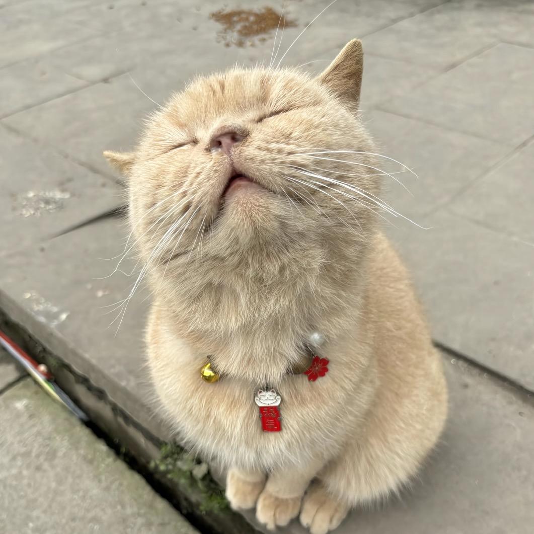 ABcm៸៸᳐⦁⩊⦁៸៸᳐