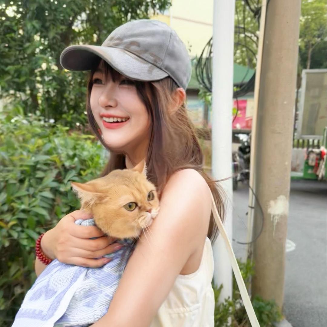 冰淇淋与朱金豆