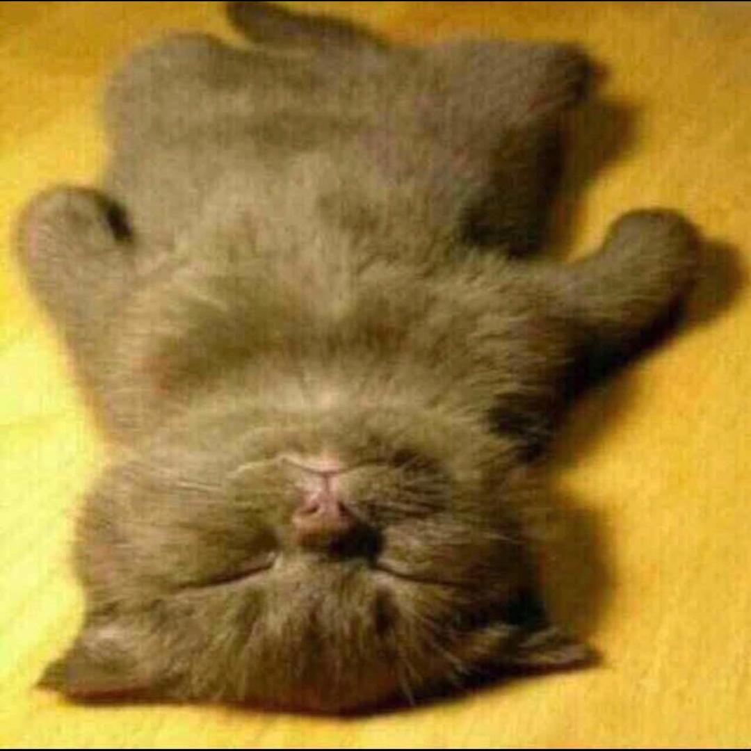 听         　  　 　 ༽