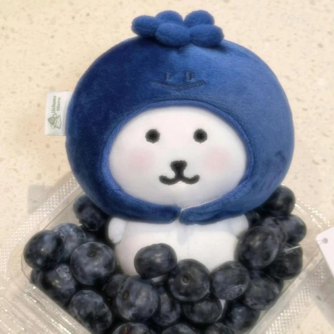 忘记了