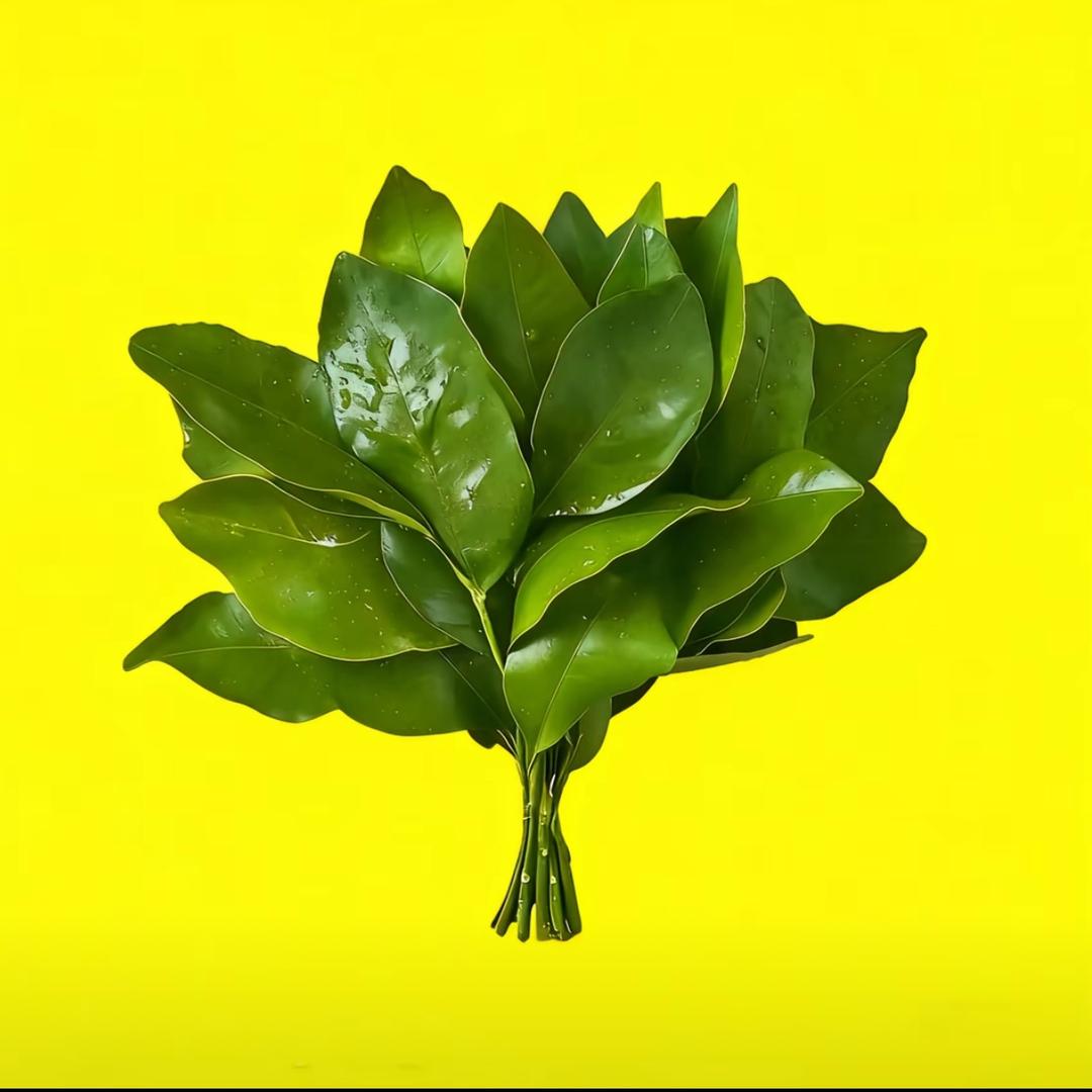 会暴富的幸福美少女