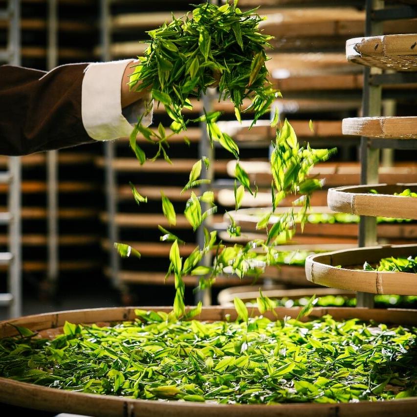 有茗的茶叶店