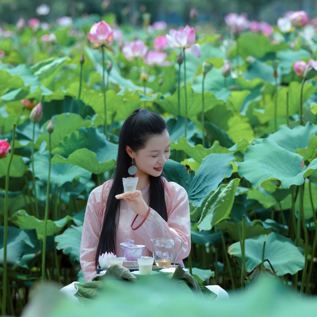 腾冲嘉临的茶