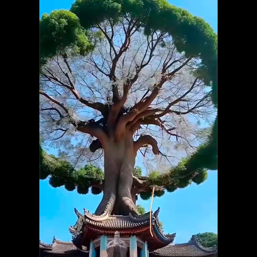 一切安好🌈