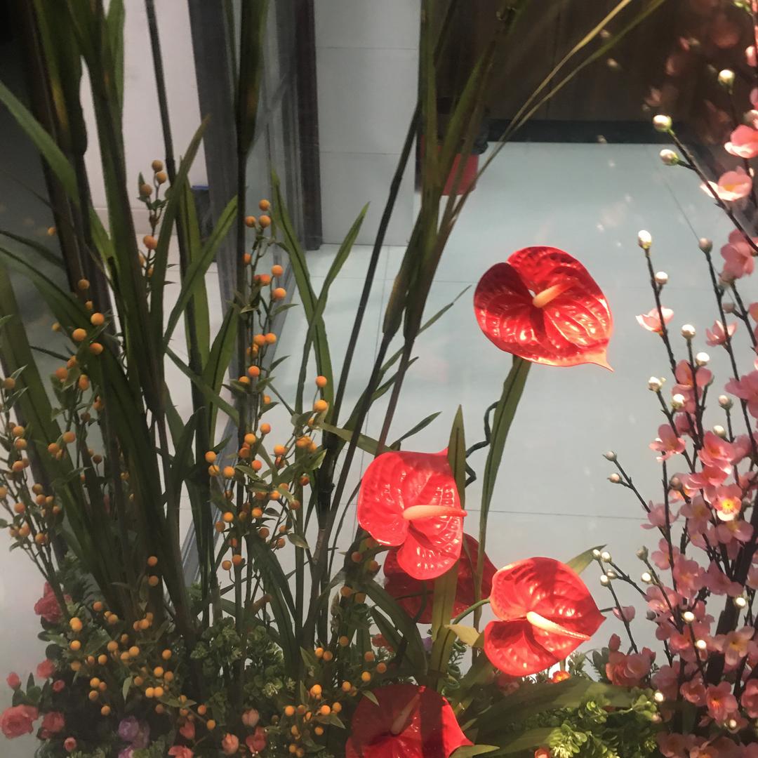 周月     乐清市