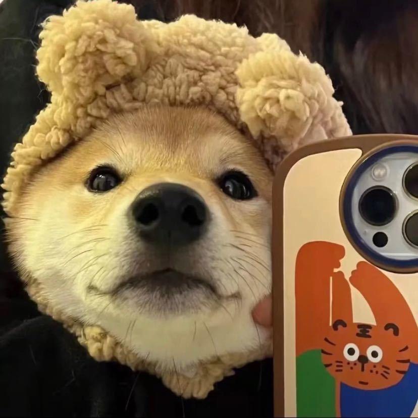 刘权