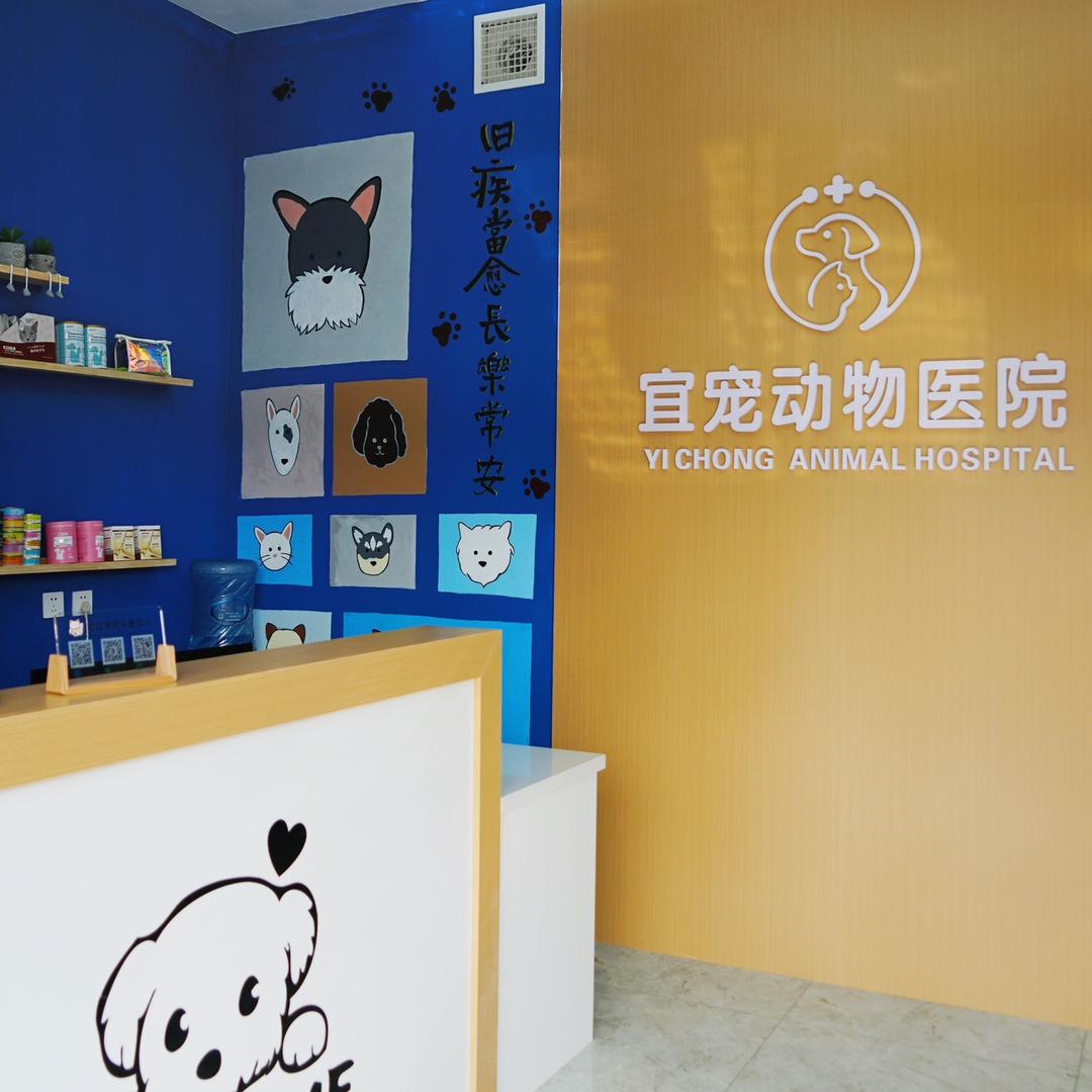 秦皇岛宜宠动物医院