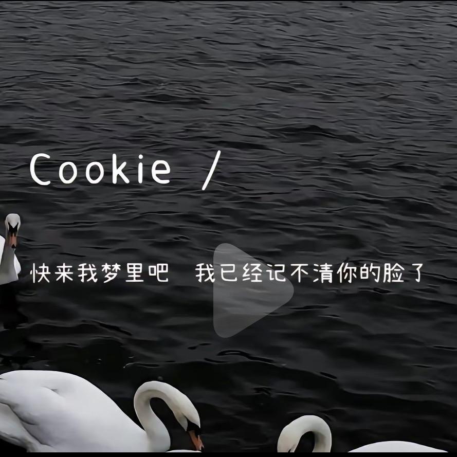 @王   先    生