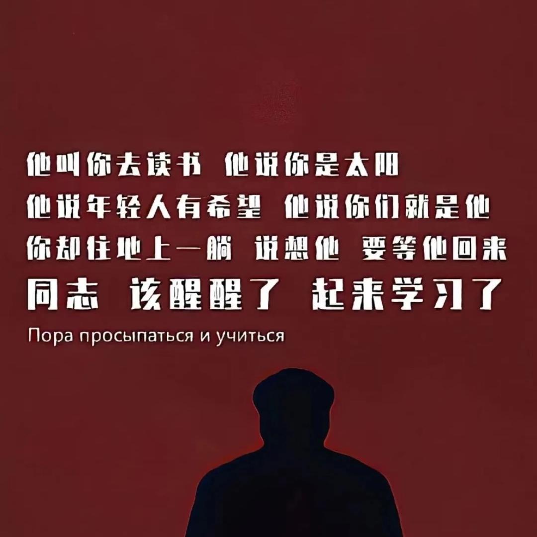 佳宁UP