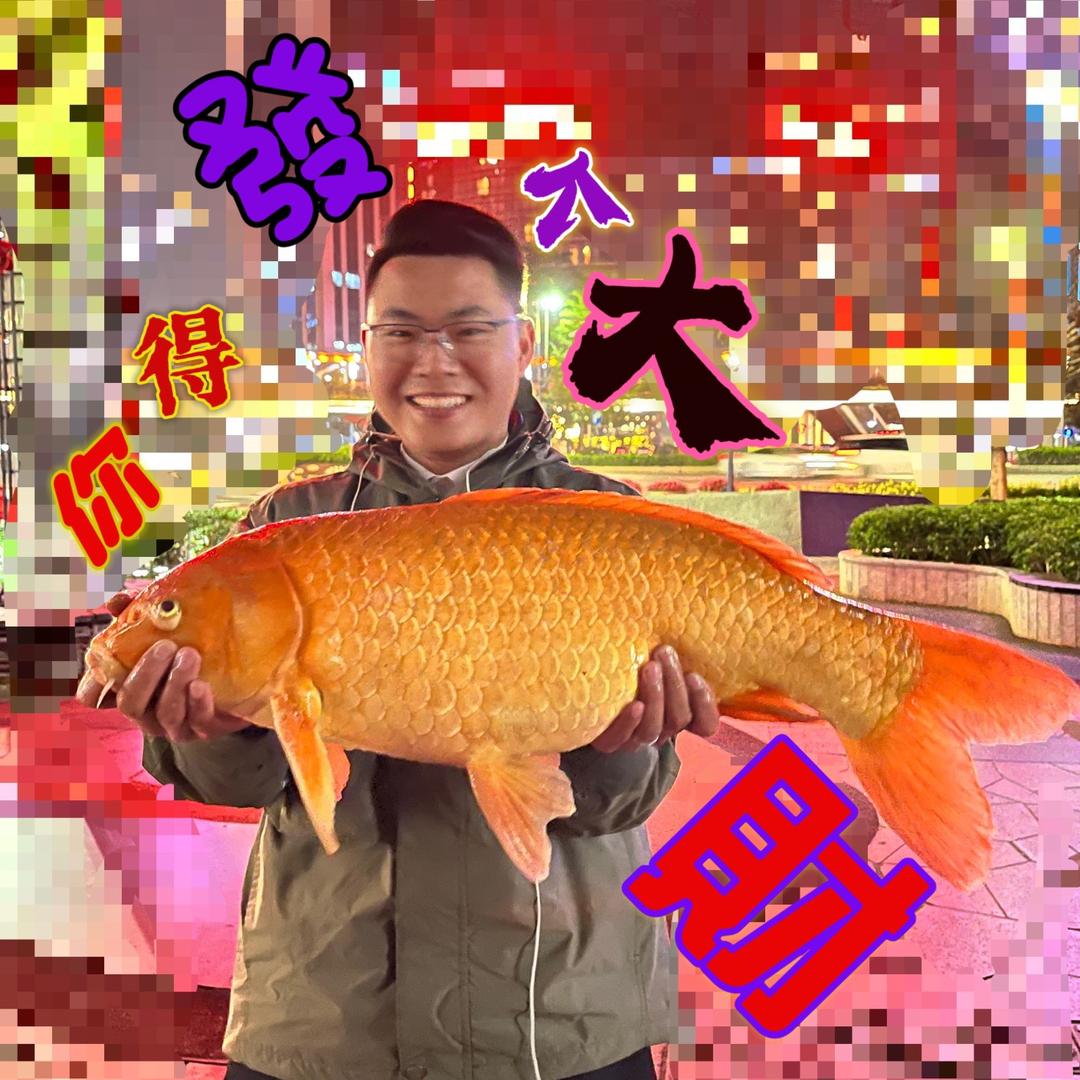 老玉渔池转鼓微滤机
