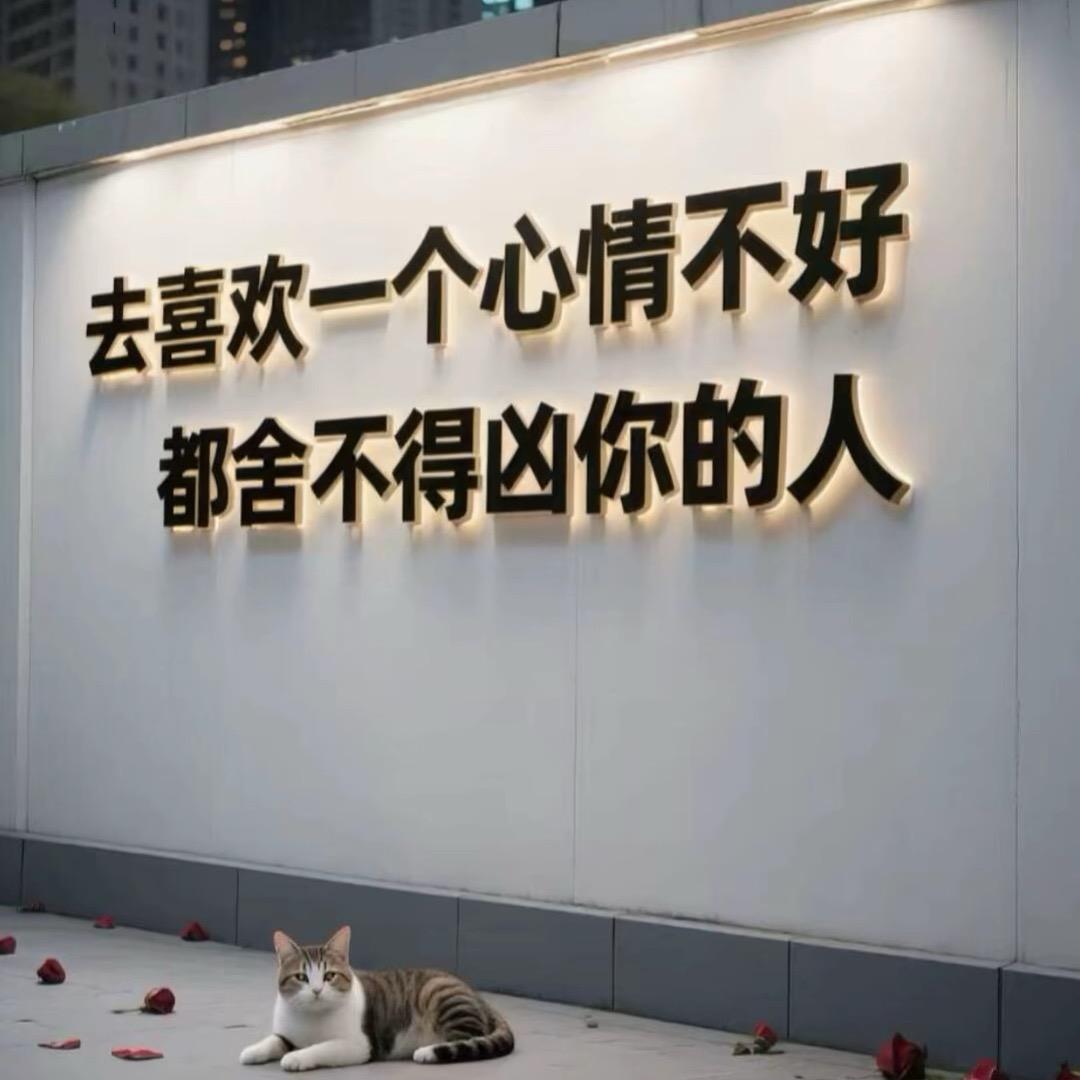 明仔来了（能不能不要熬夜😩）