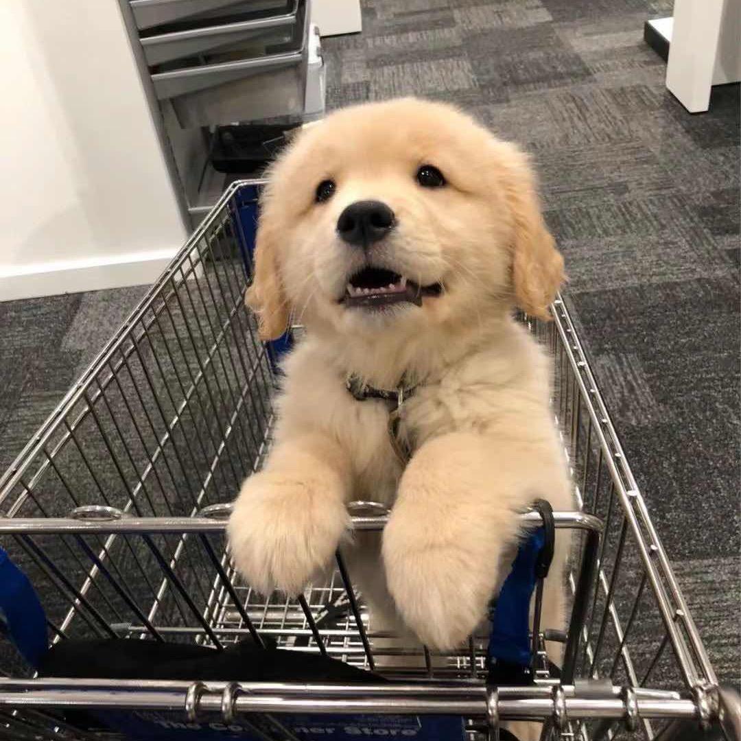 溏心荷包蛋