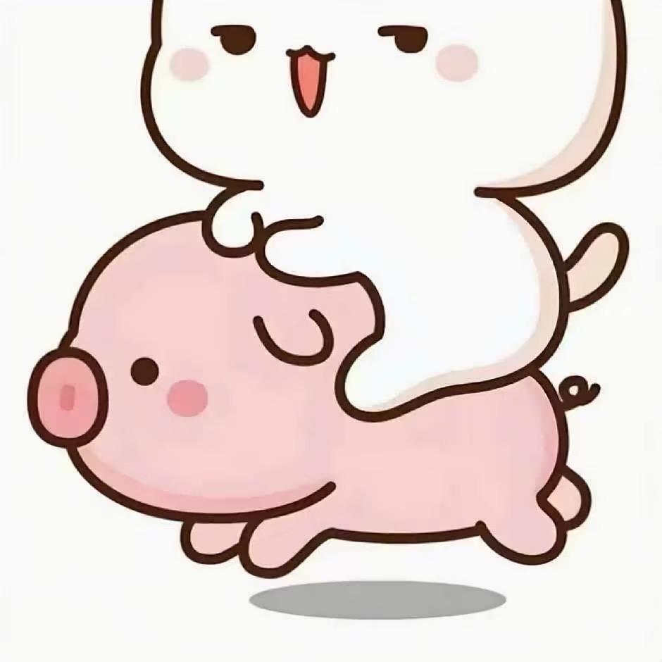 兮兮控