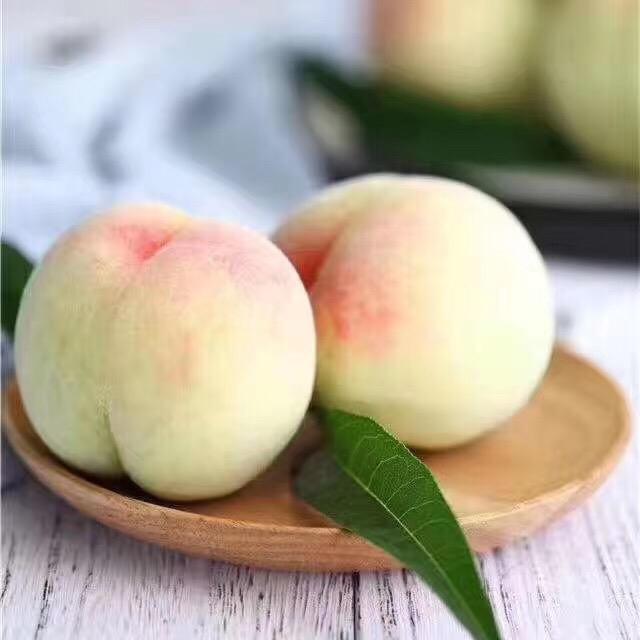 金诚信特产店