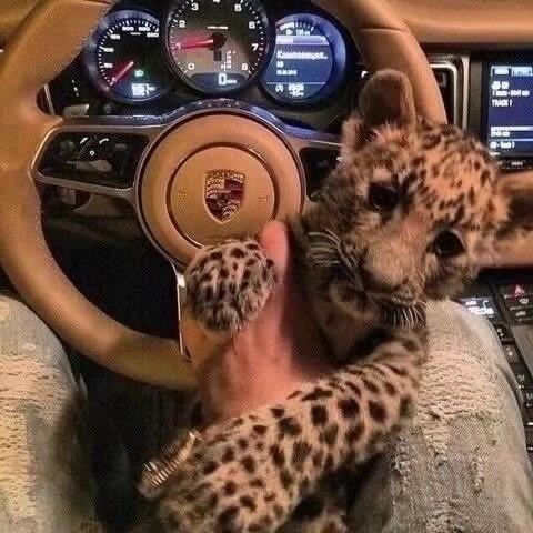 陈子坤你好吖✌️