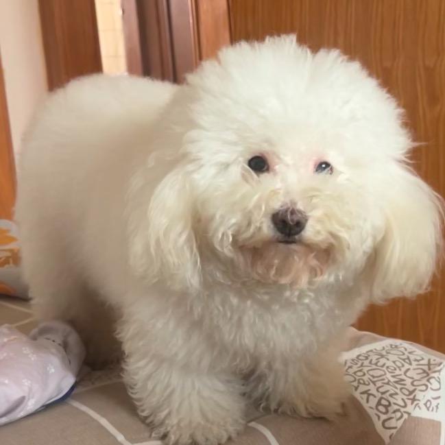 每天早晨我数123