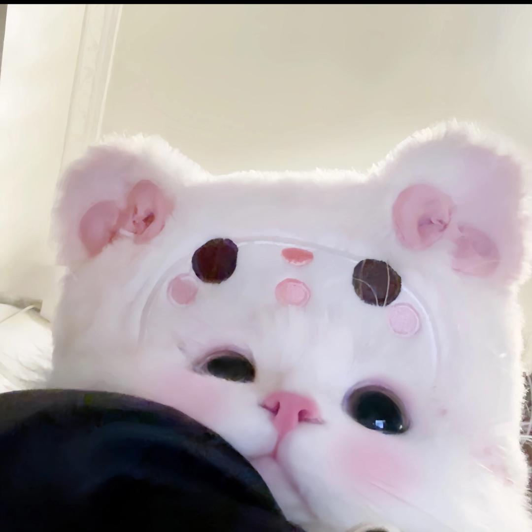洛小宝