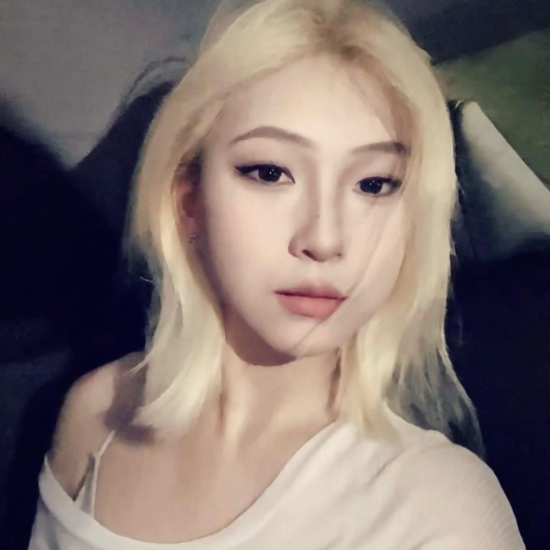霸王龙