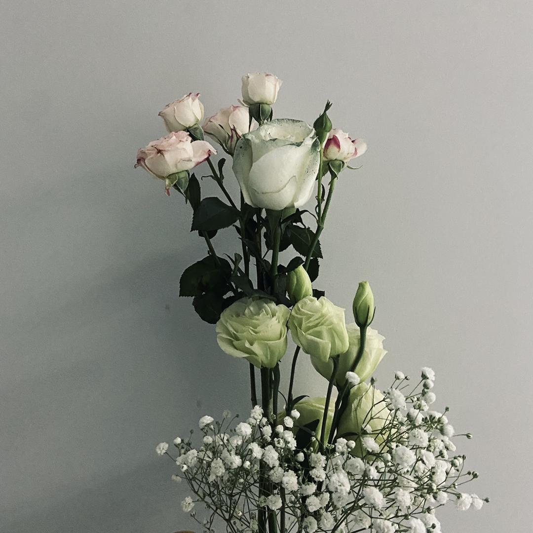 🌸不期而遇🌸