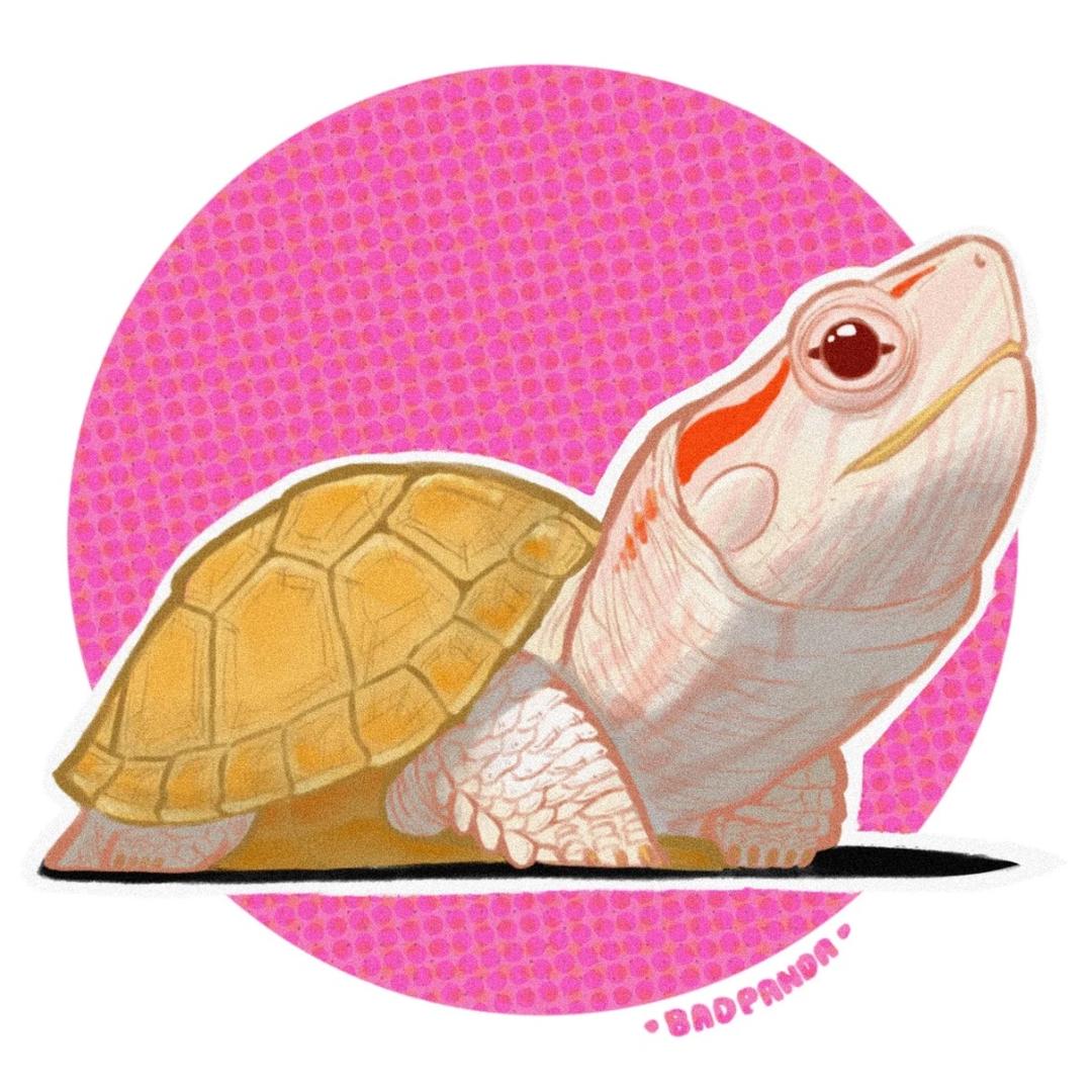 一只饲养员（见过Lingorm版🦋）