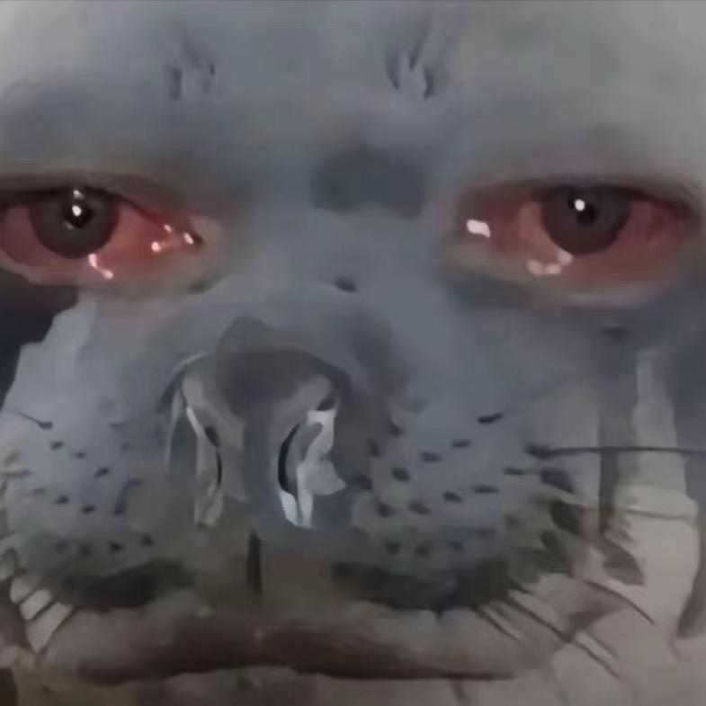 三江县米级翘嘴