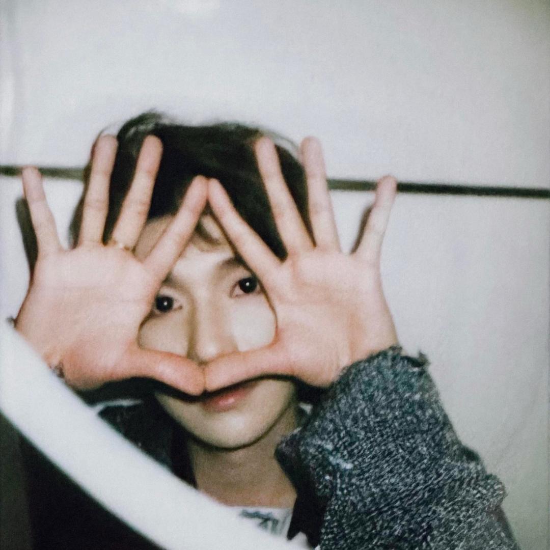 是roy的太阳Bella