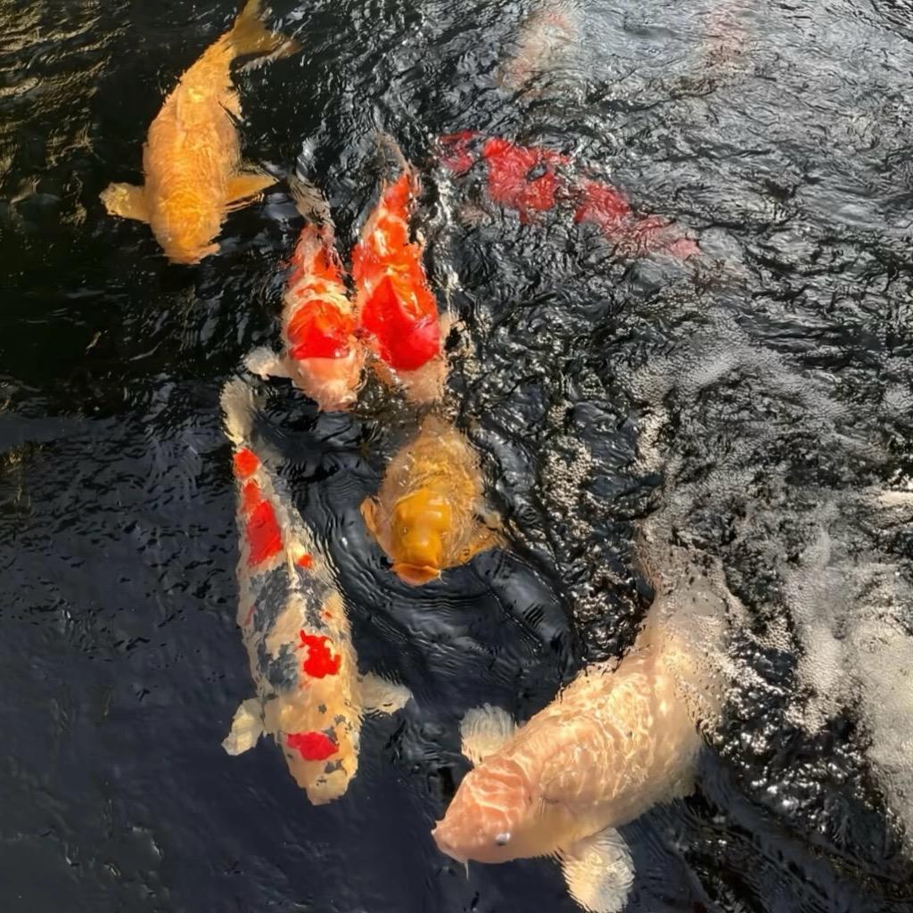 说好不哭.