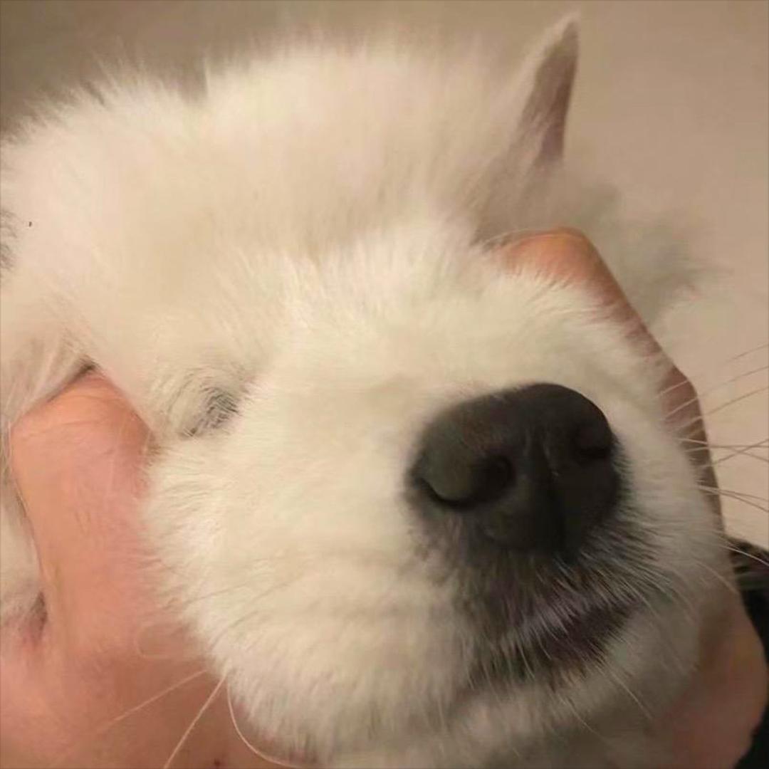怀