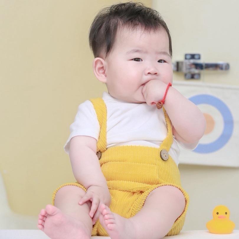 多米麻麻