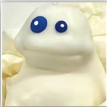 卷山茶