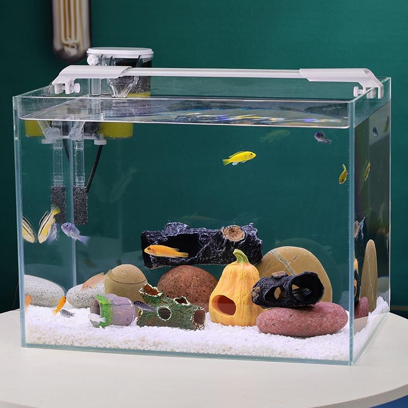 滑县懒人水族用品店