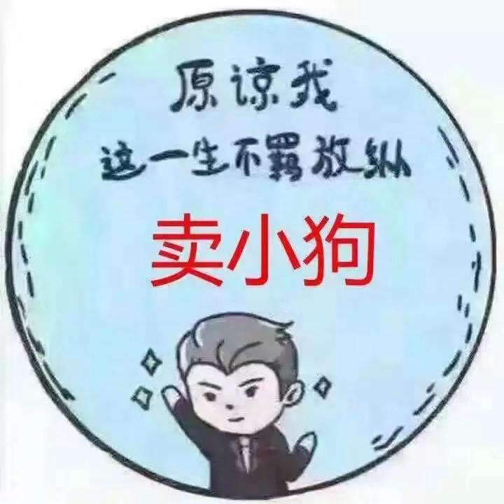 村长宠物狗繁殖基地