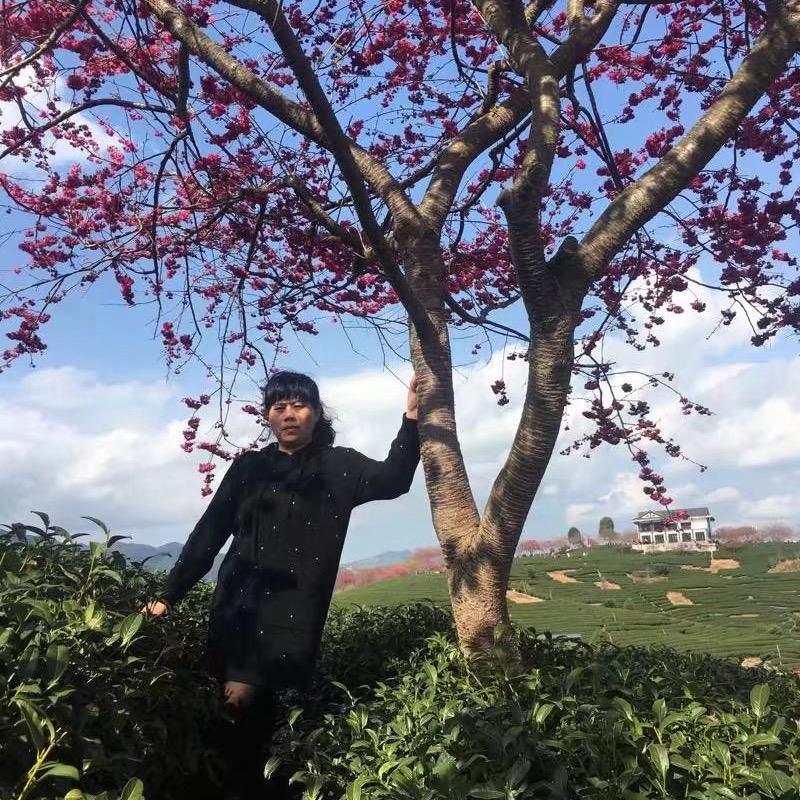 鑫宏信通讯