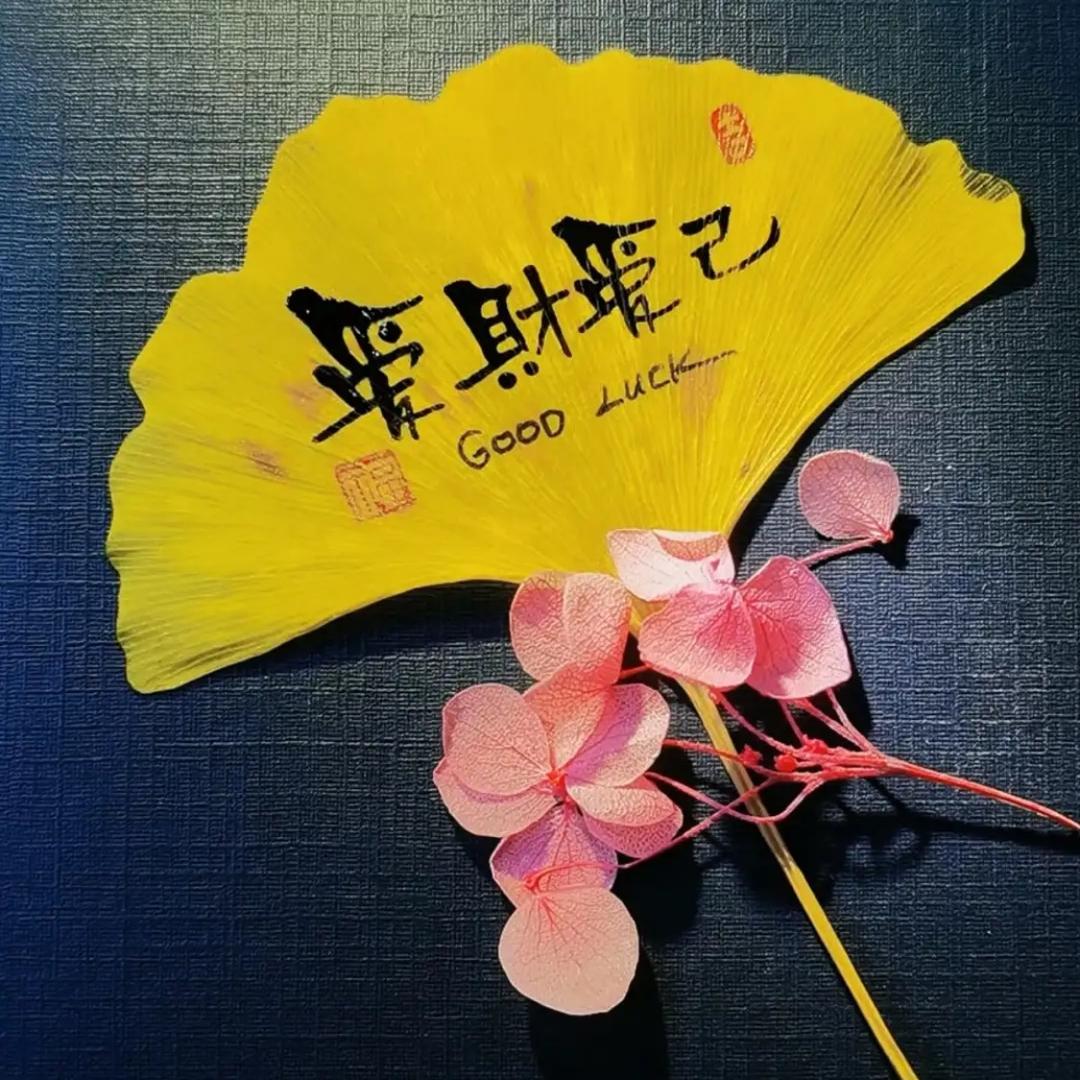 靓丽女装坊  每天更新