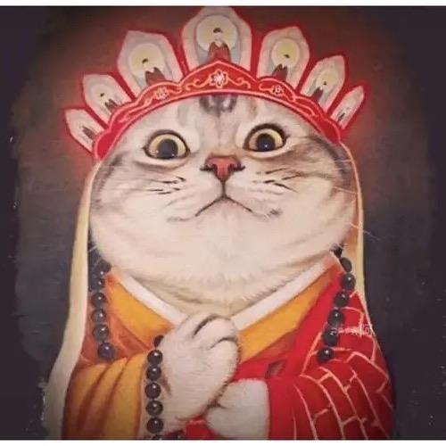 宁波老九宝