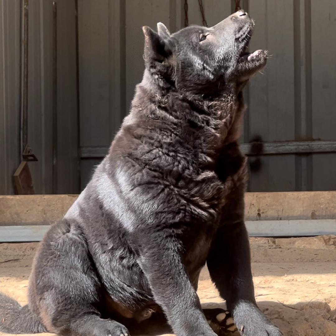 娱乐没有圈🐕‍🦺