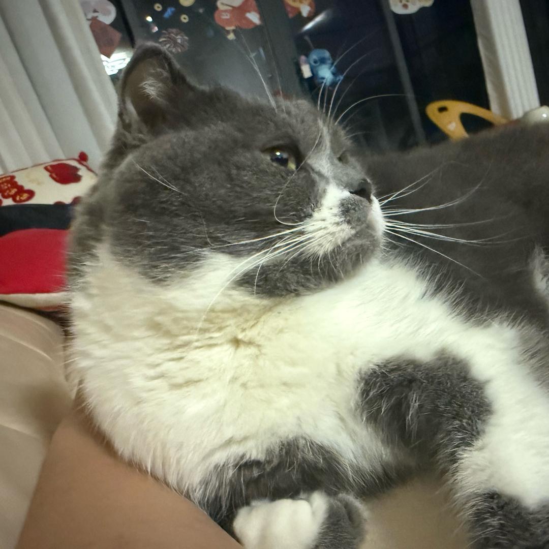 @水桶粗过条腰