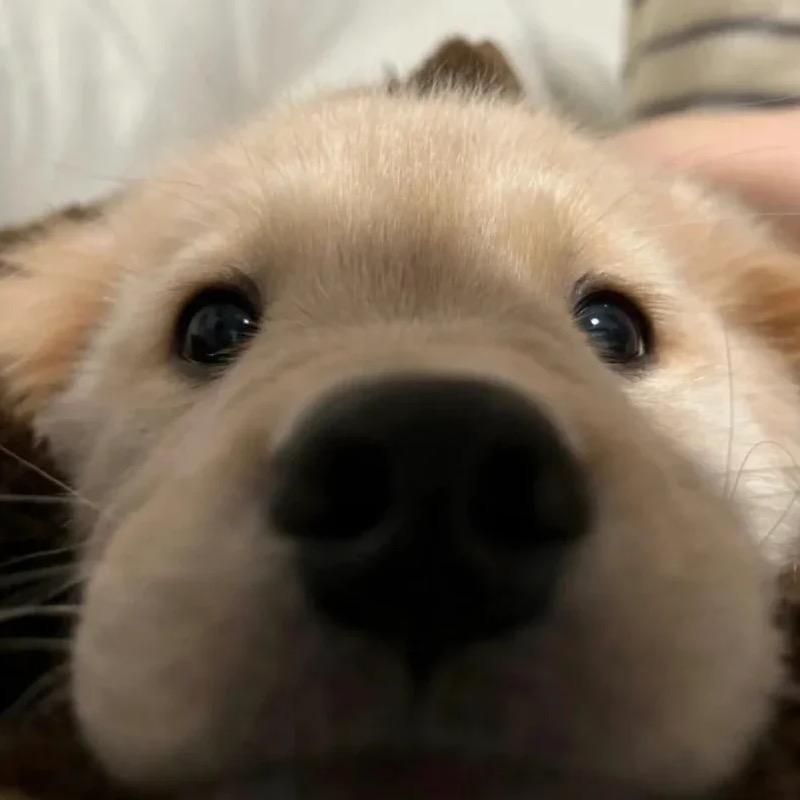 练不大的Johnny🥕